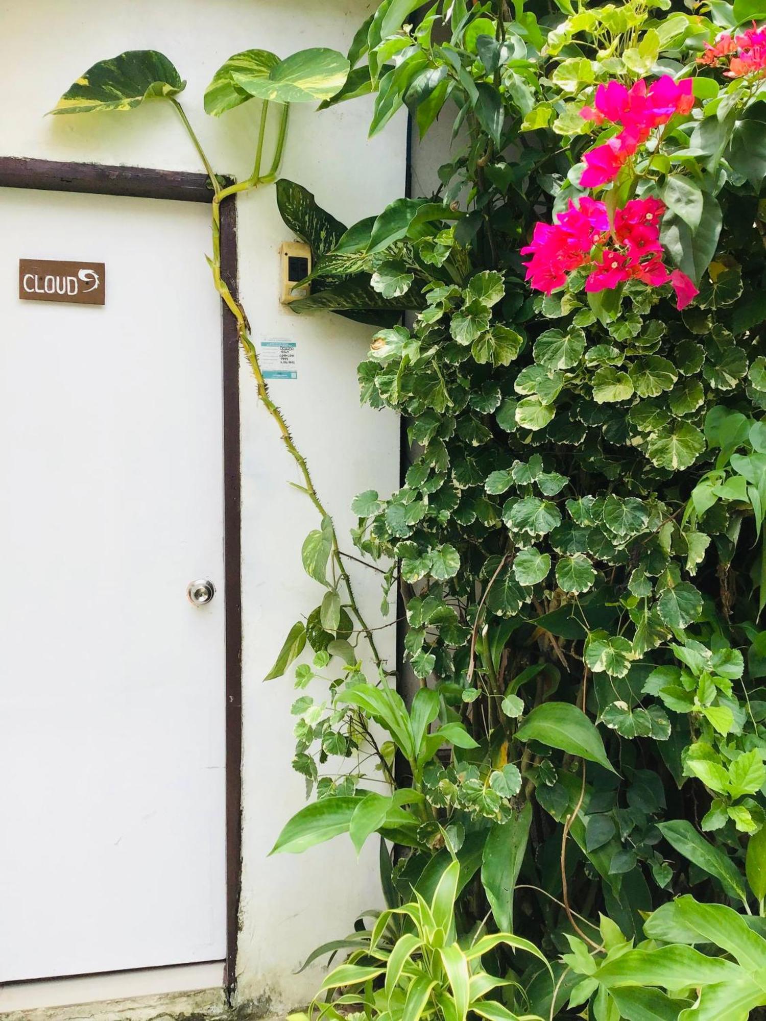 Siargao Zita'S Garden Inn General Luna  Eksteriør bilde